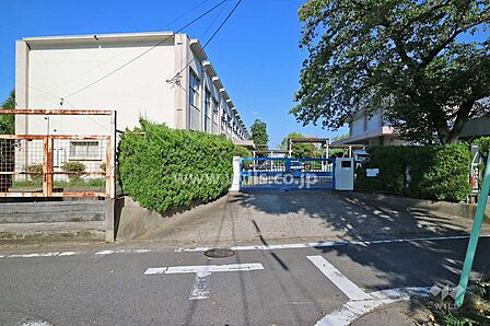 守山小学校[公立]の外観