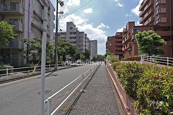敷地東側の前面道路(北側から)