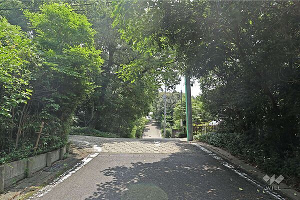 物件の西側前面道路（北側から）［2026年6月29日撮影］