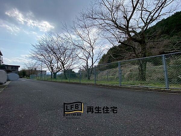 外に出ると木を眺められる環境。たまにはこういう時間も良いですね♪