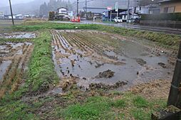 石川町谷沢榎町 田んぼ