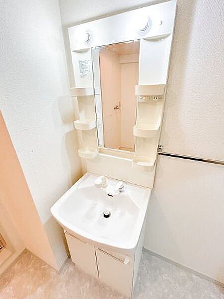 画像8:人気の独立洗面所にはうれしいシャンプードレッサー完備です。
