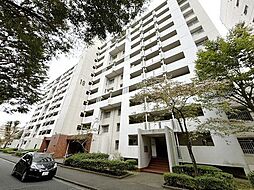 つつじが丘ハイツ19号棟 1107