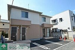 Ｊｕｖｅｎｉｌｅ　Ｓｏｌ（ジュベニール　ソール） 202