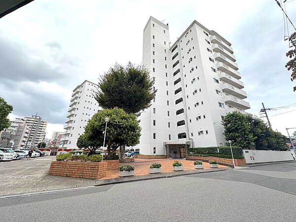 外観：311002201684