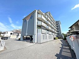 セントエルモ南柏