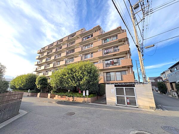 外観：311002224221