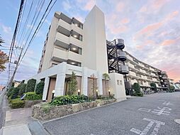 エクセルふじみ野