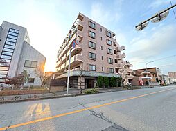 グリーンミユキ朝日