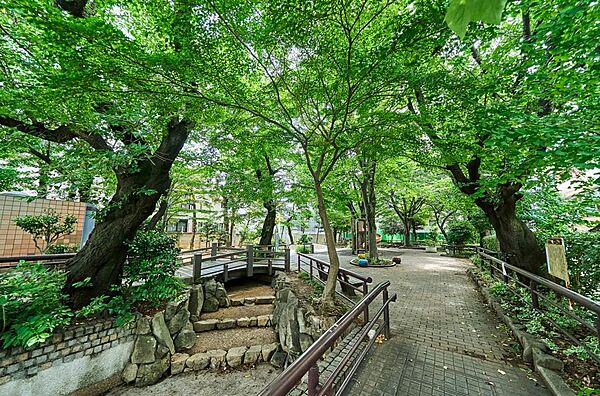 目の前には緑豊かな公園が広がり、子育てファミリーに嬉しい住環境です。四季折々の自然を身近に感じながら、のびのびとお子様を育むことができる、お散歩や遊び場に困らない贅沢なロケーションです。