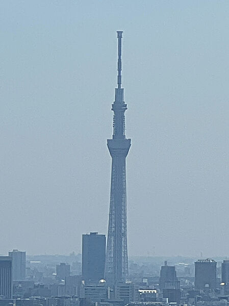 【住戸からの眺望】天候によって、スカイツリーを望むことができます。商業地域内に位置しており、都心ならではの景色も魅力です。※眺望は将来にわたって保証するものではありません。