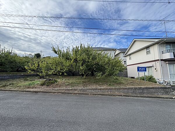 外観：314002494107