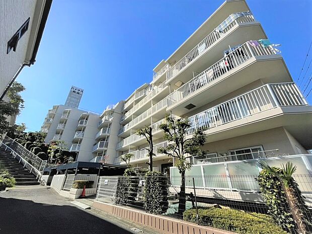 小田急線・JR横浜線「町田」駅まで徒歩約13分。地上7階建てマンション「ハイネス町田」の一室です。