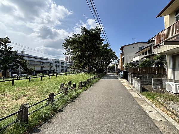 道路