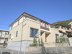 ＰＯＭＰＯＮＥＬＬＡ 101