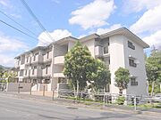 北野白梅町駅よりバス12分 徒歩10分 1階 築43年6ヶ月の賃貸物件