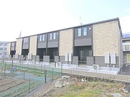 ウォーク，ドント　ラン