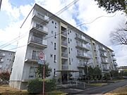 びわ湖美空団地21号棟 5階 築42年1ヶ月の賃貸物件