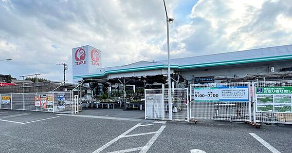 コメリハード＆グリーン津屋崎店 徒歩14分。 1050m