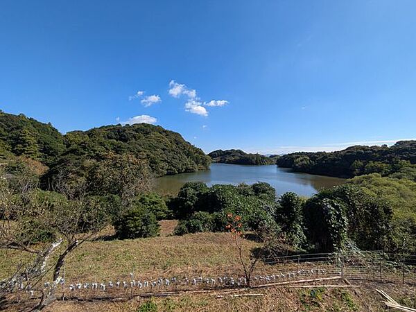 水辺の穏やかな景色と、緑豊かな段々畑が織りなす風景は、まるで一枚の絵画のよう。季節によって変化する自然の表情を眺めながら、ゆったりと流れる時間を楽しめます！