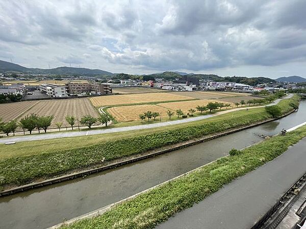 バルコニーからの眺望です！目の前に桜並木の河川敷が広がっており、散歩コースとしても人気があります！