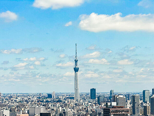 高層階41階部分につき、開放的な青空は勿論、スカイツリーを含むパノラマ眺望となっております。。