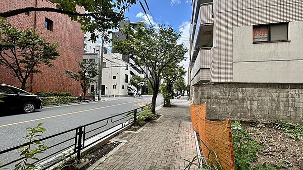 南側に広がる前面道路は視認性が高く、建物計画や収益用途にも活かしやすい立地です。現地（2025年10月）撮影