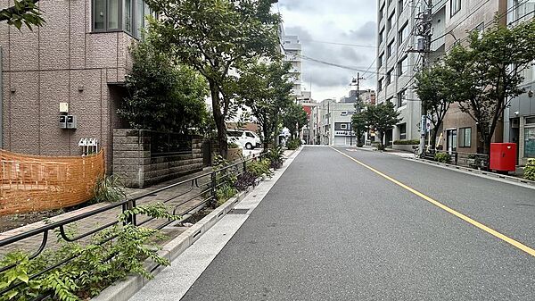 南東側の公道は幅広く、通行量も穏やかで、事務所・収益・住宅用地など多用途に対応可能です。現地（2025年10月）撮影