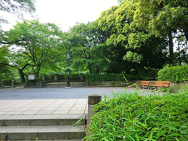 ここからまっすぐ東京タワーが見えます。都内有数の桜の名所。ボートにも乗れます。