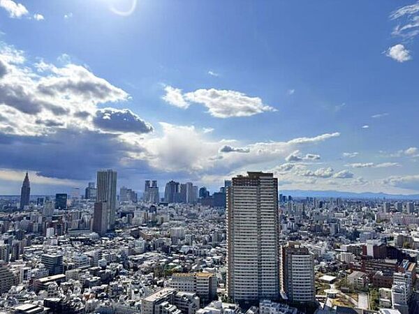 都心を一望できる35階からの眺め。自邸で上のホテルライクを叶える贅沢