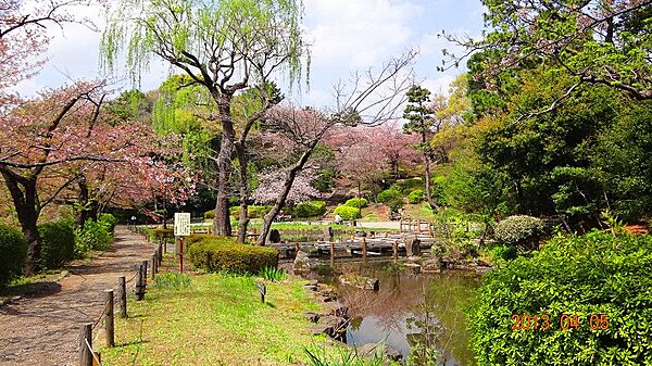 紅葉が公園を彩り、自然の美しさを満喫できる公園です。