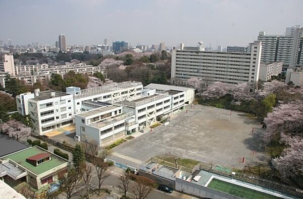 自然とふれあいながら環境や生命への理解を深めるために、ビオトープを整備しています。
