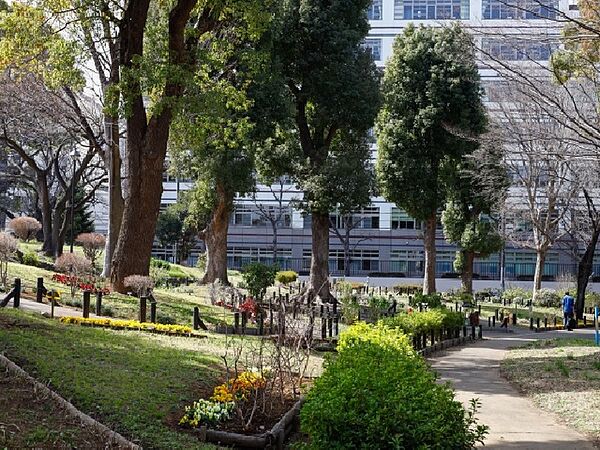 東京都新宿区にある都立公園。休日にはファミリー層や若者など、多世代交流の場となっています。