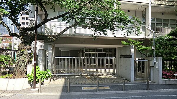 図書室は広くて本の種類が豊富。校内では四季折々、様々な花が咲き、切り花を教室にも飾っています。