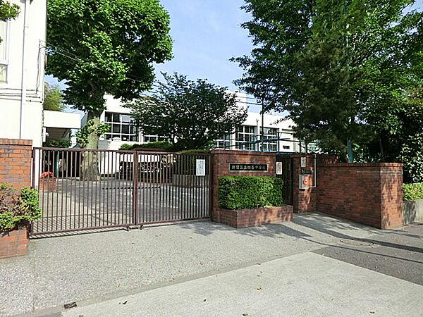 大きなプラタナスの木が学校のシンボルです。部活動は、運動部と文化部の合計14部あります。