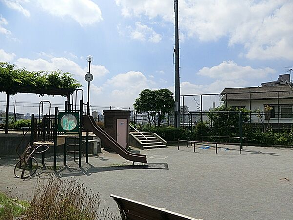 遠くに新宿の高層ビル群が見える、眺望の良い公園。夜景がきれいです。