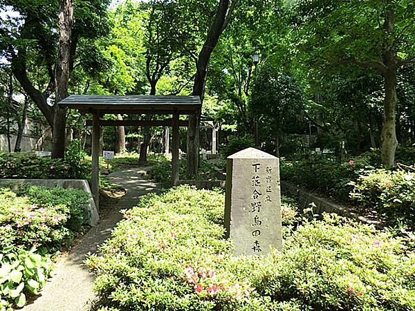周辺を拡大表示