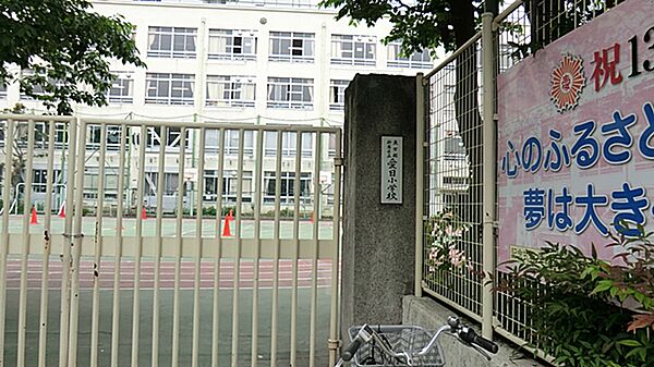 2017年春に新校舎が完成。伝統があり地域の皆さんに見守られている学校。あいさつをすることに重点がおかれ交代であいさつ隊があります。