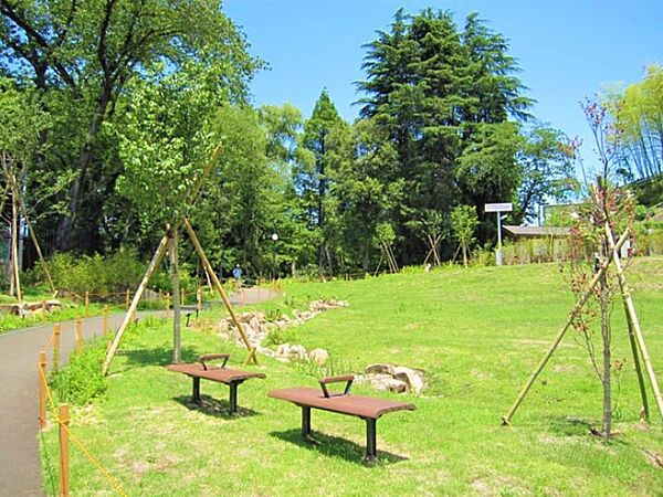 園内は、湧水による流れや池、樹林地、原っぱなど様々な自然があふれており、新宿区の貴重な財産となっています。