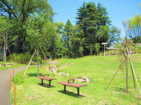 のどかな雰囲気で緑豊かな公園です！遊歩道も綺麗に完備されて小さなお子さんと遊ぶのにも最適です♪都心では唯一ホタルが観れる公園として有名なのが特徴♪