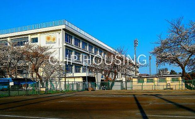 座間市立東中学校 徒歩10分。 800m