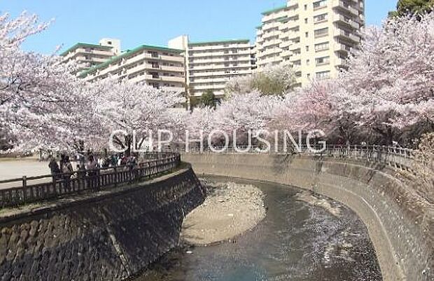 北部公園 徒歩17分。 1330m