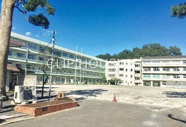 厚木市立南毛利小学校 徒歩4分。 290m