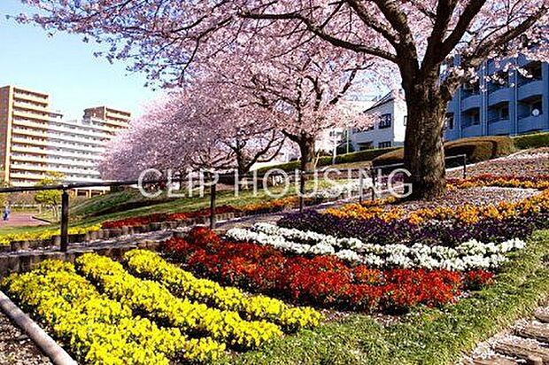 かにがさわ公園 徒歩6分。 450m