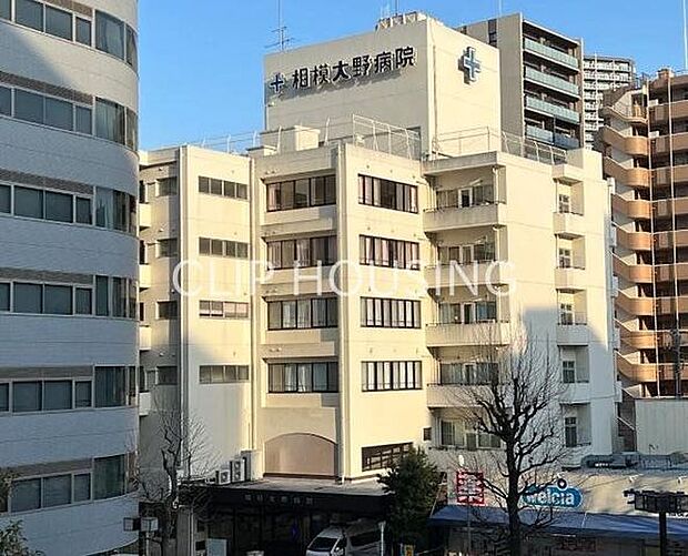 医療法人社団昌栄会相模大野病院 徒歩12分。 950m