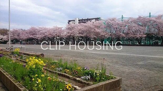 相模原市立鶴の台小学校 徒歩2分。 130m