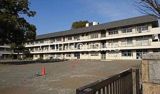 相模原市立新磯小学校 徒歩7分。 530m