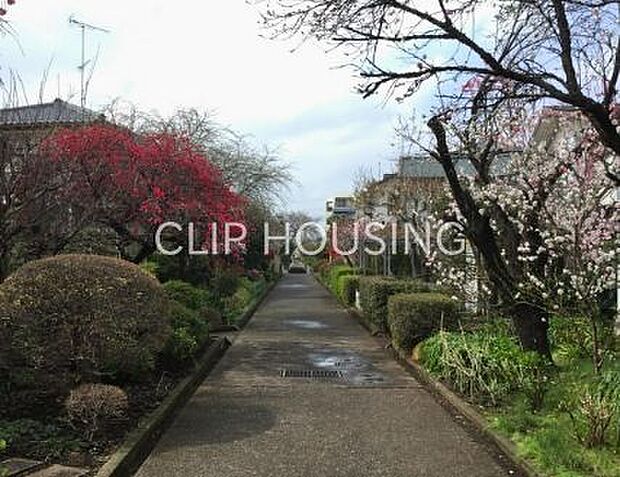 さがみの仲よし小道 徒歩15分。 1190m