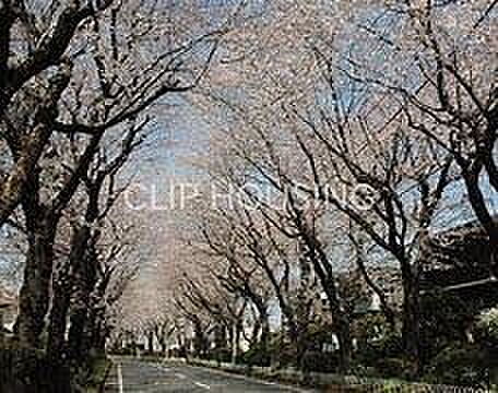 綾西緑地 徒歩8分。 640m