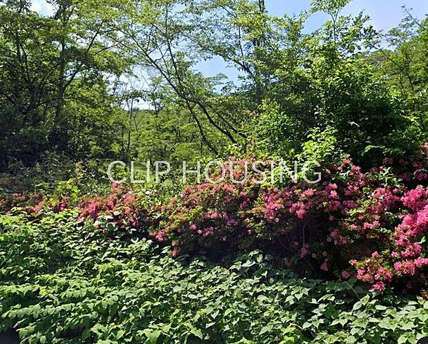 愛名緑地 徒歩24分。 1920m